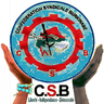 CSB Blog